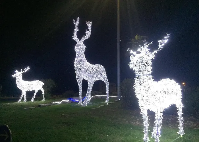 דירה Le Barca Playa - Climatise - Terrasse Et Parking Prive *